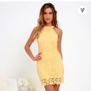 Love Poem Yellow Lace Mini Dress